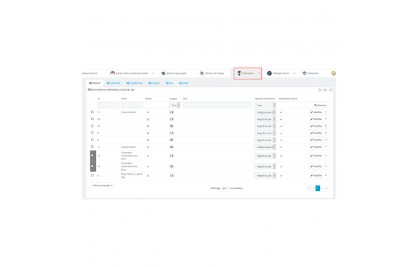 SEO avancé - Référencement Google 5* - Module Prestashop