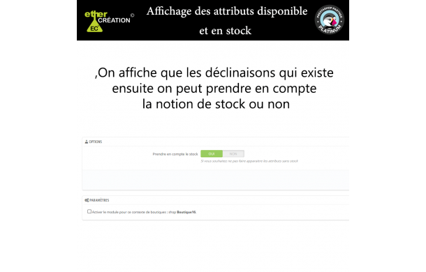 Affichage des déclinaisons avancées - Module Prestashop